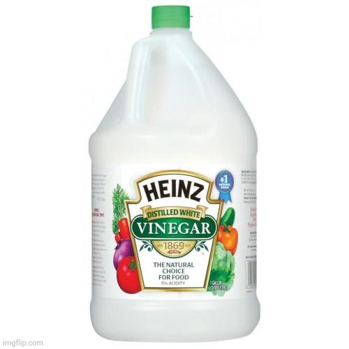 image tagged in vinegar | made w/ Imgflip meme maker