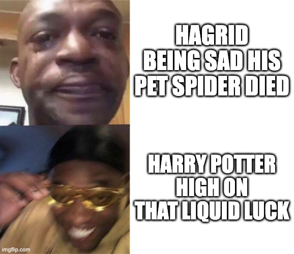 only harry potter fans will get it | HAGRID BEING SAD HIS PET SPIDER DIED; HARRY POTTER HIGH ON THAT LIQUID LUCK | image tagged in black guy crying and black guy laughing | made w/ Imgflip meme maker