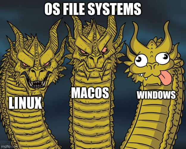 C:\Program Files and C:\Program Files (x86), but (Arm64) if you have one of those AI PCs, etc etc | OS FILE SYSTEMS; MACOS; WINDOWS; LINUX | image tagged in three-headed dragon,windows,linux,apple inc | made w/ Imgflip meme maker