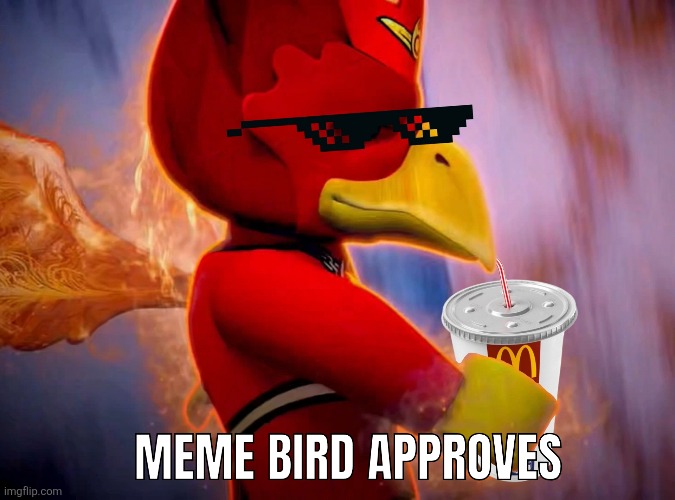 MEME BIRD APPROVES | image tagged in bird,meme,funny memes,donald trump approves,new | made w/ Imgflip meme maker