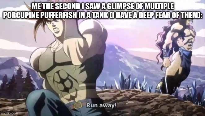 I'm scared of porcupine puffer fish fr | ME THE SECOND I SAW A GLIMPSE OF MULTIPLE PORCUPINE PUFFERFISH IN A TANK (I HAVE A DEEP FEAR OF THEM): | image tagged in joseph running from kars | made w/ Imgflip meme maker