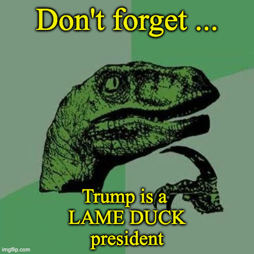 Trump Lame Duck | Don't forget ... Trump is a 
LAME DUCK
president | image tagged in raptor asking questions | made w/ Imgflip meme maker