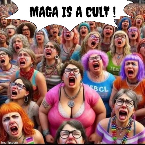MAGA IS A CULT ! | made w/ Imgflip meme maker