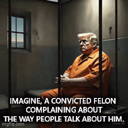 Image tagged in gifs,trump,criminal,felony,sensitive,dementia - Imgflip