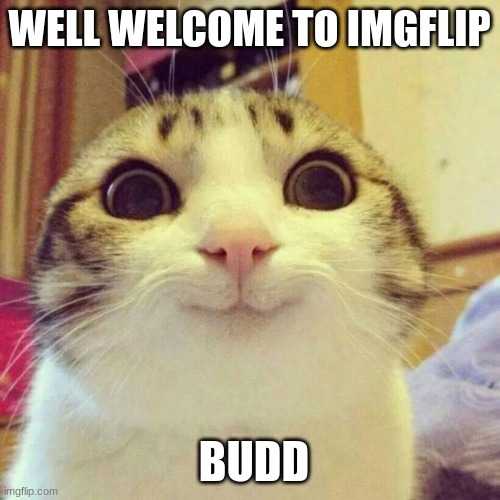 WELL WELCOME TO IMGFLIP BUDD | image tagged in memes,smiling cat | made w/ Imgflip meme maker