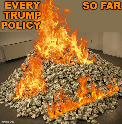 With a side helping' of "Take (the American People's) Money" | EVERY TRUMP POLICY; SO FAR | image tagged in cash,inferno,trump,waste,destruction,shut up and take my money fry | made w/ Imgflip meme maker
