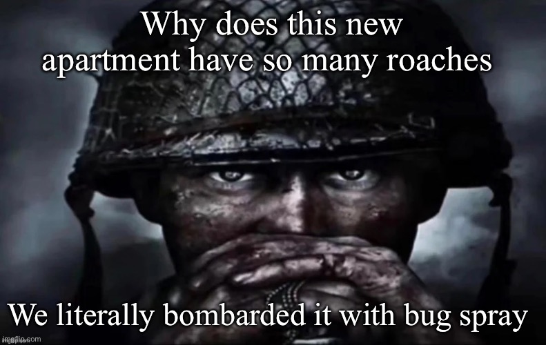 Thousand Yard Stare secondary image | Why does this new apartment have so many roaches; We literally bombarded it with bug spray | image tagged in thousand yard stare secondary image | made w/ Imgflip meme maker