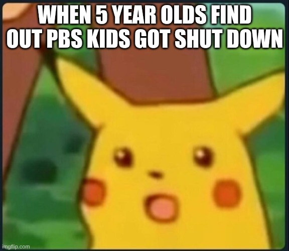 Surprised Pikachu | WHEN 5 YEAR OLDS FIND OUT PBS KIDS GOT SHUT DOWN | image tagged in surprised pikachu | made w/ Imgflip meme maker