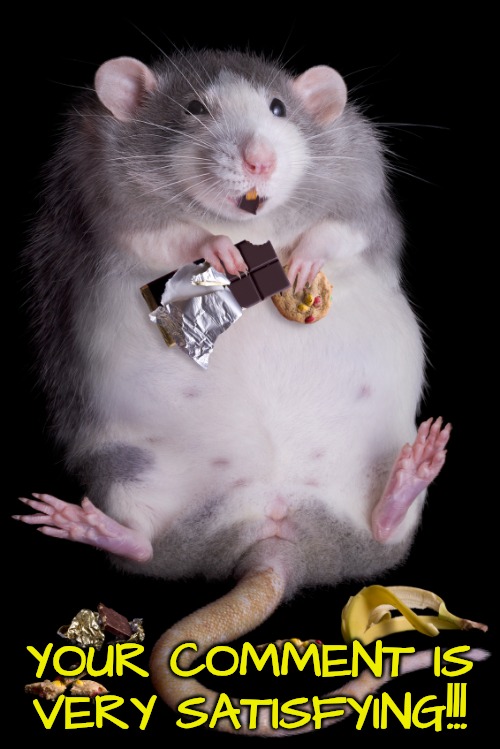 Mouse | YOUR COMMENT IS VERY SATISFYING!!! | image tagged in mouse | made w/ Imgflip meme maker