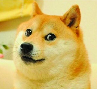 Doge template Blank Meme Template