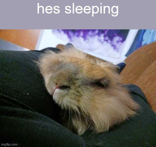 hes sleeping | made w/ Imgflip meme maker