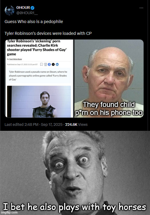 The shooter and old dude had child p*rn on their devices | I bet he also plays with toy horses They found child p*rn on his phone too | image tagged in what are the odds of that | made w/ Imgflip meme maker