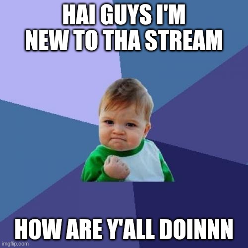 Success Kid | HAI GUYS I'M NEW TO THA STREAM; HOW ARE Y'ALL DOINNN | image tagged in memes,success kid | made w/ Imgflip meme maker