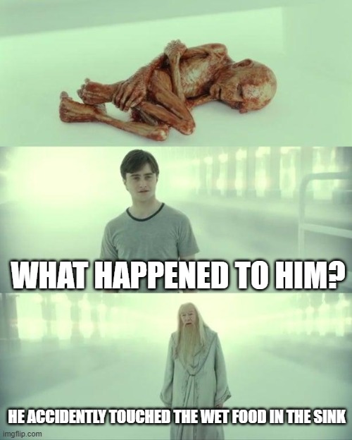 D I S G U S T I N G | WHAT HAPPENED TO HIM? HE ACCIDENTLY TOUCHED THE WET FOOD IN THE SINK | image tagged in dead baby voldemort / what happened to him,wet,food,disgusting | made w/ Imgflip meme maker