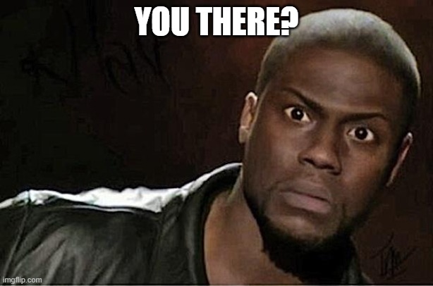 Kevin Hart Meme | YOU THERE? | image tagged in memes,kevin hart | made w/ Imgflip meme maker