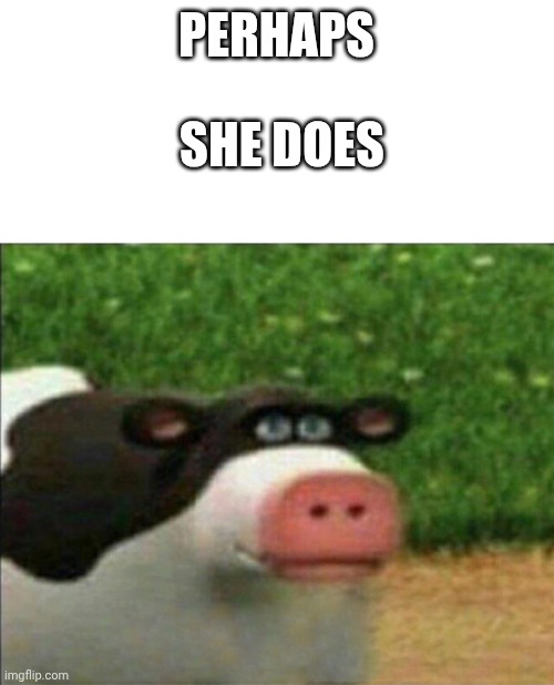 PERHAPS SHE DOES | image tagged in perhaps cow | made w/ Imgflip meme maker