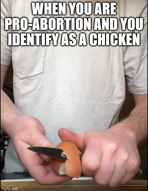 Baby Killer | WHEN YOU ARE PRO-ABORTION AND YOU IDENTIFY AS A CHICKEN | image tagged in peeling eggs,abortion,chicken,pronouns,lbgtq,murder | made w/ Imgflip meme maker