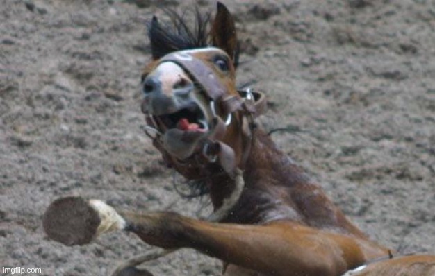 image tagged in scared horse | made w/ Imgflip meme maker