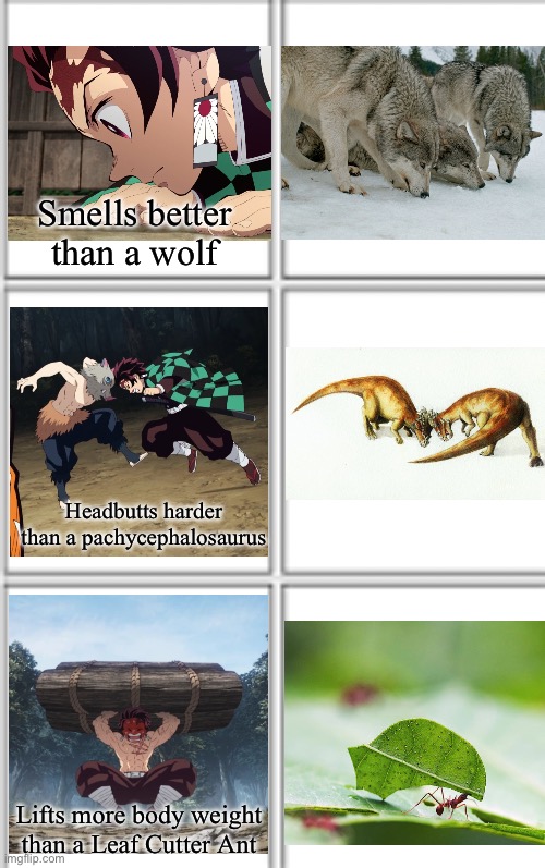 Tanjiro’s Three Super Powers | Smells better than a wolf; Headbutts harder than a pachycephalosaurus; Lifts more body weight than a Leaf Cutter Ant | image tagged in demon slayer,animals,anime,strength | made w/ Imgflip meme maker