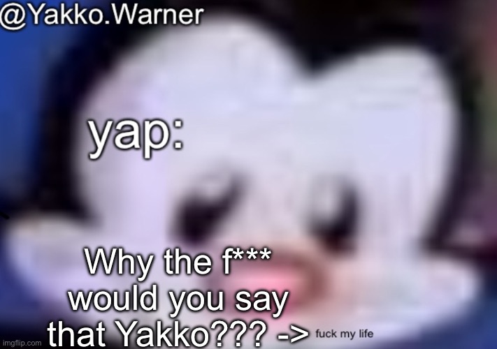 yappo i mean yakko.warner template | Why the f*** would you say that Yakko??? -> | image tagged in yappo i mean yakko warner template | made w/ Imgflip meme maker