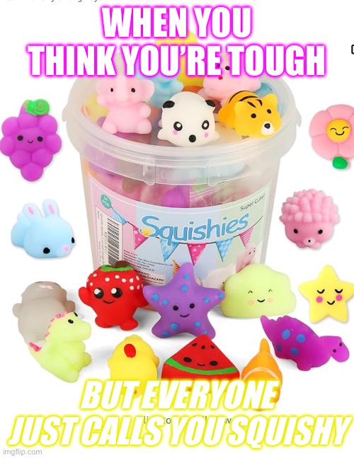 Squishy | WHEN YOU THINK YOU’RE TOUGH; BUT EVERYONE JUST CALLS YOU SQUISHY | image tagged in blank transparent square | made w/ Imgflip meme maker