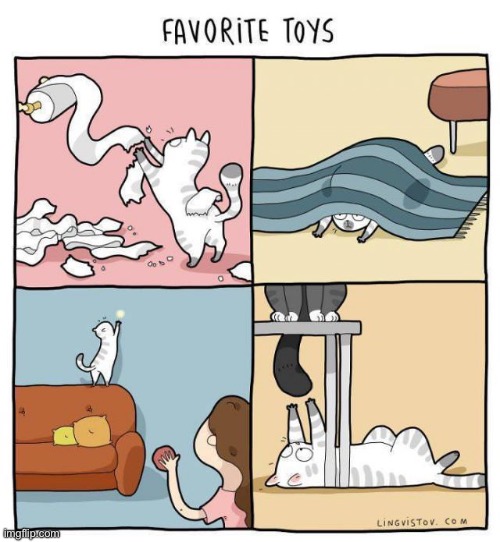 Cats love their toys, no matter what form they take… | image tagged in cats,comics,favorite toys | made w/ Imgflip meme maker
