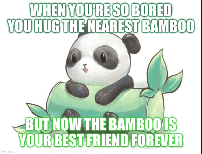My bamboo is my bamboo | WHEN YOU'RE SO BORED YOU HUG THE NEAREST BAMBOO; BUT NOW THE BAMBOO IS YOUR BEST FRIEND FOREVER | image tagged in bamboozled | made w/ Imgflip meme maker