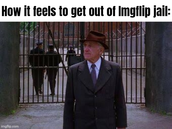 Dear the sitemod that banned me: I will do it again. I have not learned my lesson. From Memeus xx | How it feels to get out of Imgflip jail: | image tagged in muh freedumb | made w/ Imgflip meme maker