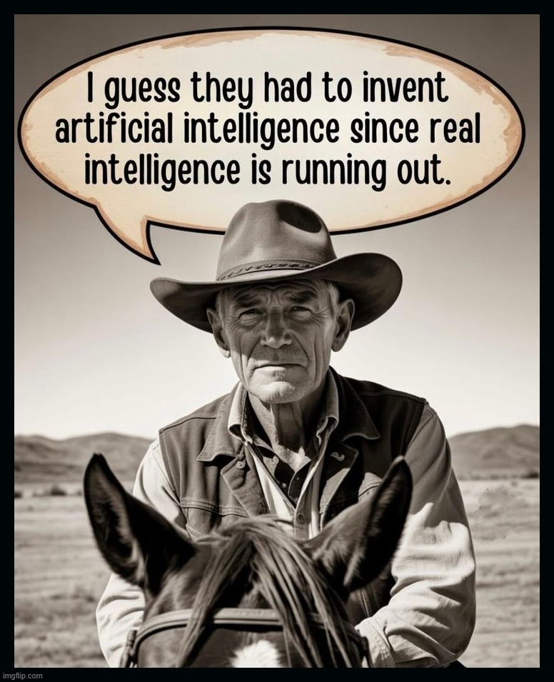 Cowboy Logic | image tagged in cowboy logic,cowboy wisdom,sarcasm cowboy,almost politically correct redneck,redneck wonder,stupid liberals | made w/ Imgflip meme maker