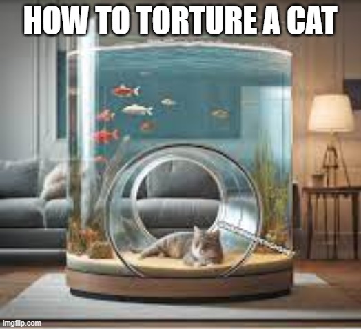 Here's how you torture a cat. It's easy.   --  funny  -- | HOW TO TORTURE A CAT | image tagged in cats,funny,kittens,humor,fish,fishing | made w/ Imgflip meme maker