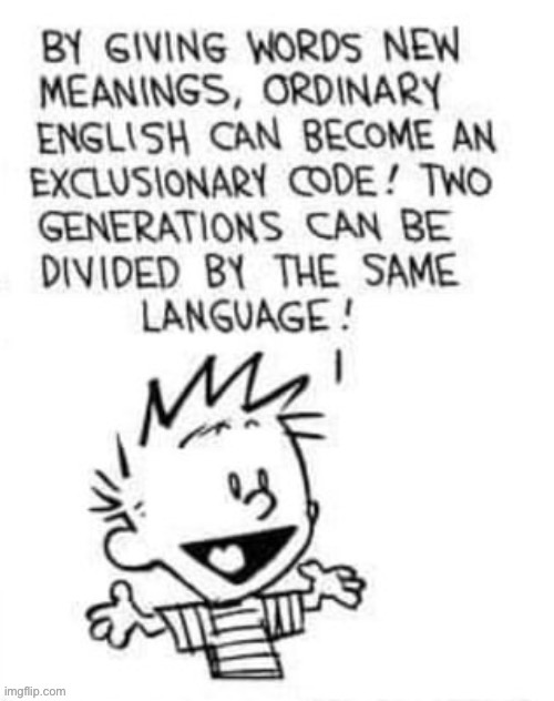 Calvin explains why Gen Z ruins words | made w/ Imgflip meme maker