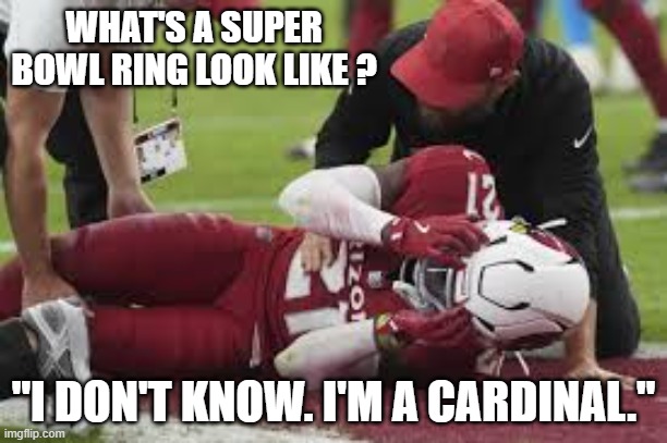 Cardinal player wants to know what Super Bowl ring looks like. He has no idea. | WHAT'S A SUPER BOWL RING LOOK LIKE ? "I DON'T KNOW. I'M A CARDINAL." | image tagged in cardinals,funny,nfl,san francisco 49ers,football,super bowl | made w/ Imgflip meme maker