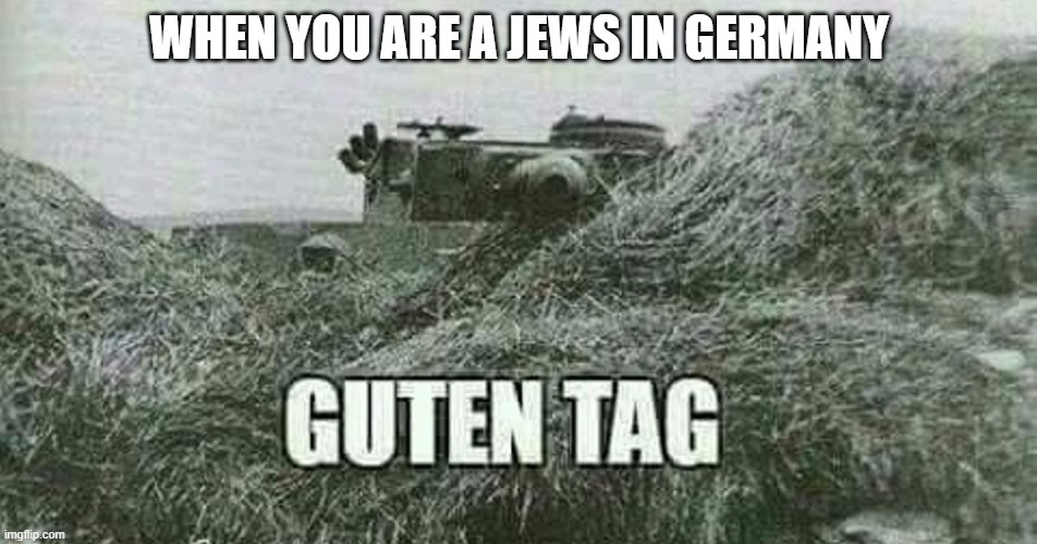 Nothing | WHEN YOU ARE A JEWS IN GERMANY | image tagged in german guten tag tiger | made w/ Imgflip meme maker