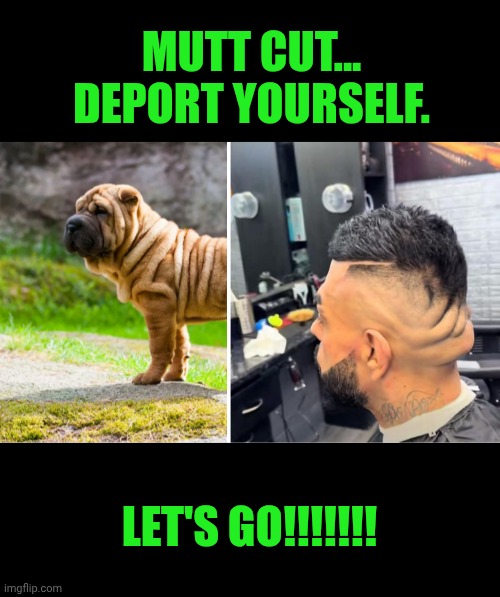 Funny | MUTT CUT... DEPORT YOURSELF. LET'S GO!!!!!!! | image tagged in funny,deportation,bad haircut,task failed successfully,wtf is that,gtfo | made w/ Imgflip meme maker