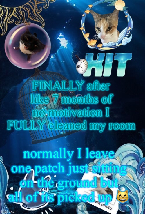 silly announcement template by asriel | FINALLY after like 7 months of no motivation I FULLY cleaned my room; normally I leave one patch just sitting on the ground but all of its picked up 😸 | image tagged in silly announcement template by asriel | made w/ Imgflip meme maker