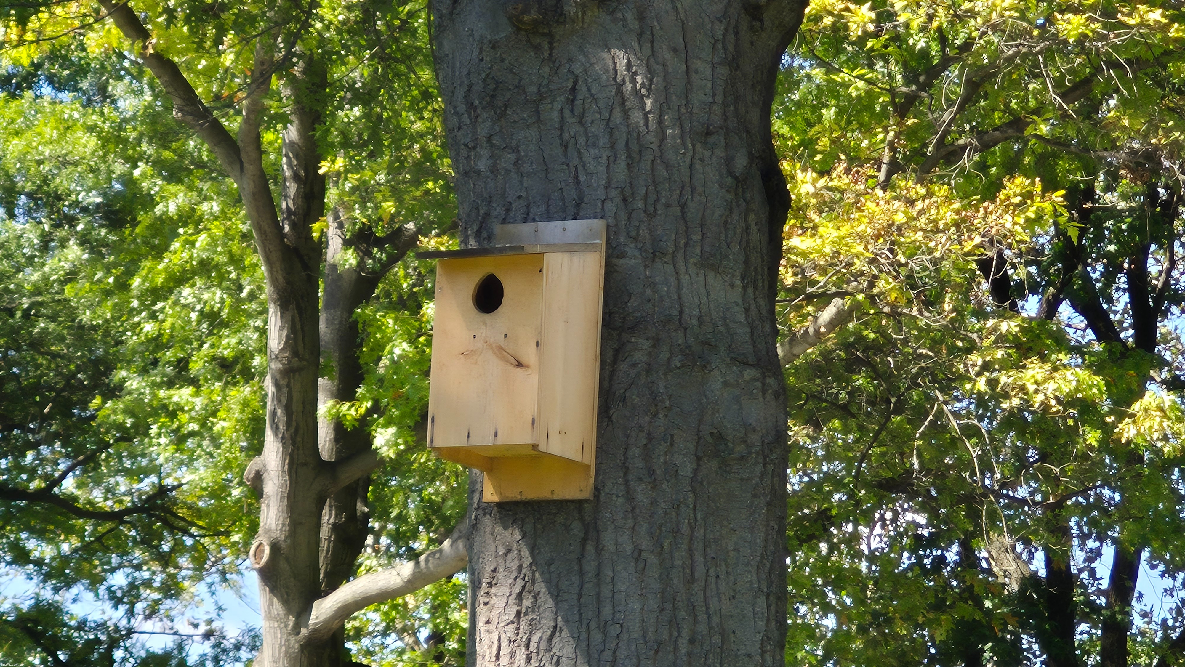 Google nest in 1825 | made w/ Imgflip meme maker