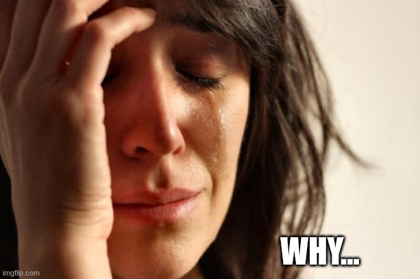 First World Problems Meme | WHY... | image tagged in memes,first world problems | made w/ Imgflip meme maker