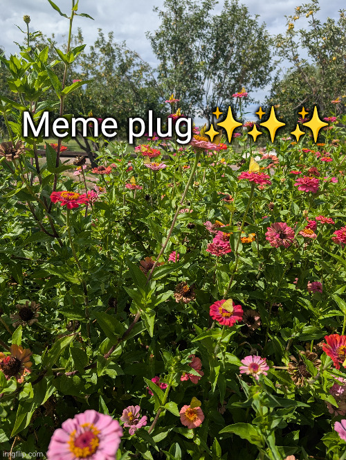 ty | Meme plug ✨✨✨ | made w/ Imgflip meme maker