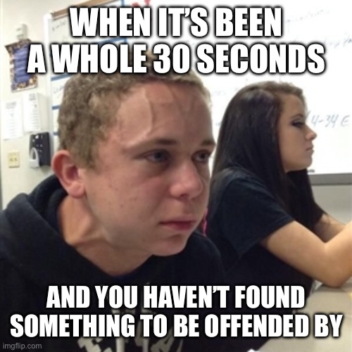 Vein forehead guy | WHEN IT’S BEEN A WHOLE 30 SECONDS; AND YOU HAVEN’T FOUND SOMETHING TO BE OFFENDED BY | image tagged in vein forehead guy | made w/ Imgflip meme maker