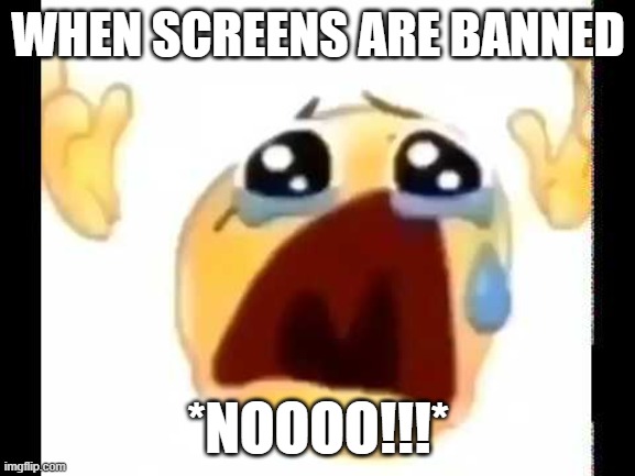 more screens | WHEN SCREENS ARE BANNED; *NOOOO!!!* | image tagged in cursed crying emoji | made w/ Imgflip meme maker