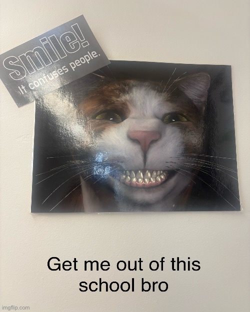 Im done bro | image tagged in memes | made w/ Imgflip meme maker