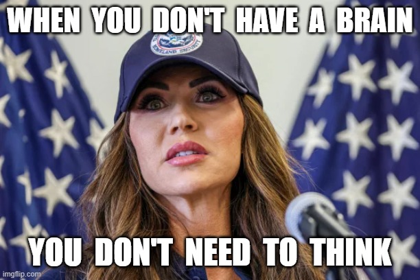 Un-Needed | WHEN  YOU  DON'T  HAVE  A  BRAIN; YOU  DON'T  NEED  TO  THINK | made w/ Imgflip meme maker
