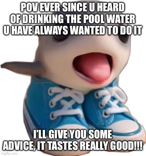 Los Tralalerito | POV EVER SINCE U HEARD OF DRINKING THE POOL WATER U HAVE ALWAYS WANTED TO DO IT; I’LL GIVE YOU SOME ADVICE, IT TASTES REALLY GOOD!!! | image tagged in los tralalerito | made w/ Imgflip meme maker