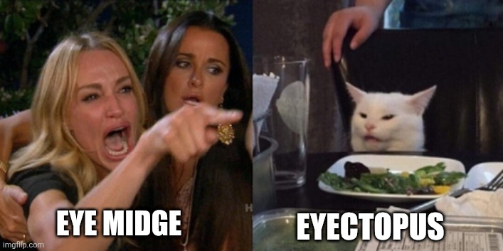 Eye Alien Argument | EYE MIDGE; EYECTOPUS | image tagged in alien,earth,lady screams at cat,funny memes,funny cat memes,tv show | made w/ Imgflip meme maker