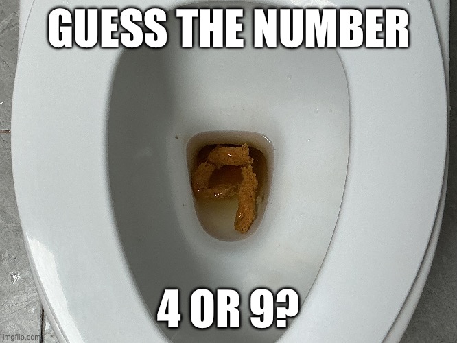 Number guessing | GUESS THE NUMBER; 4 OR 9? | image tagged in memes,poop,numbers,number | made w/ Imgflip meme maker