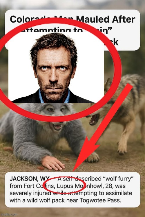 never | made w/ Imgflip meme maker