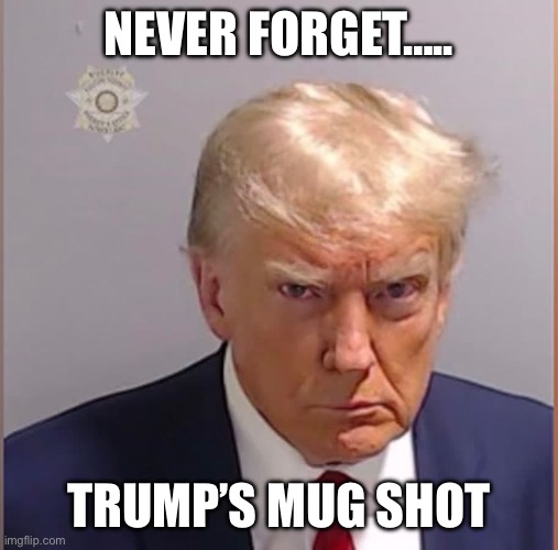 Trump’s mug shot | NEVER FORGET….. TRUMP’S MUG SHOT | image tagged in donald trump,trump,mugshot | made w/ Imgflip meme maker