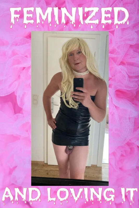 Feminization Blank Meme Template