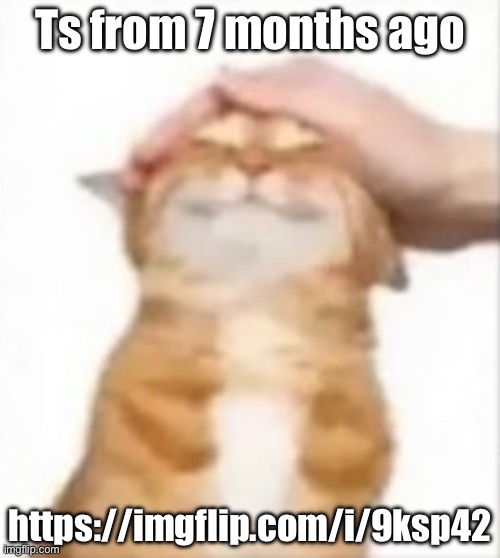 Cat being petted | Ts from 7 months ago; https://imgflip.com/i/9ksp42 | image tagged in cat being petted | made w/ Imgflip meme maker