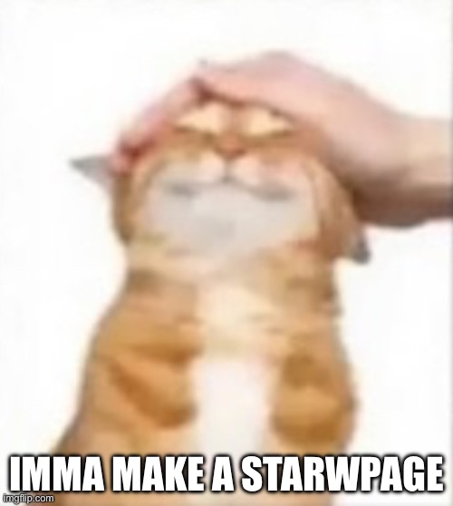 Cat being petted | IMMA MAKE A STARWPAGE | image tagged in cat being petted | made w/ Imgflip meme maker
